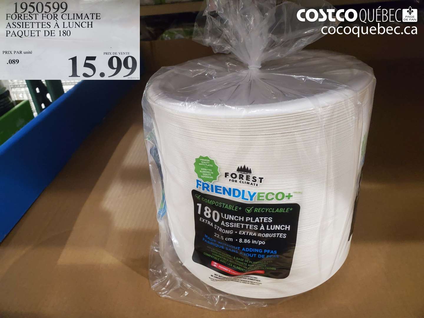 1950599 FOREST FOR CLIMATE ASSIETTES À LUNCH PAQUET DE 180 $15.99