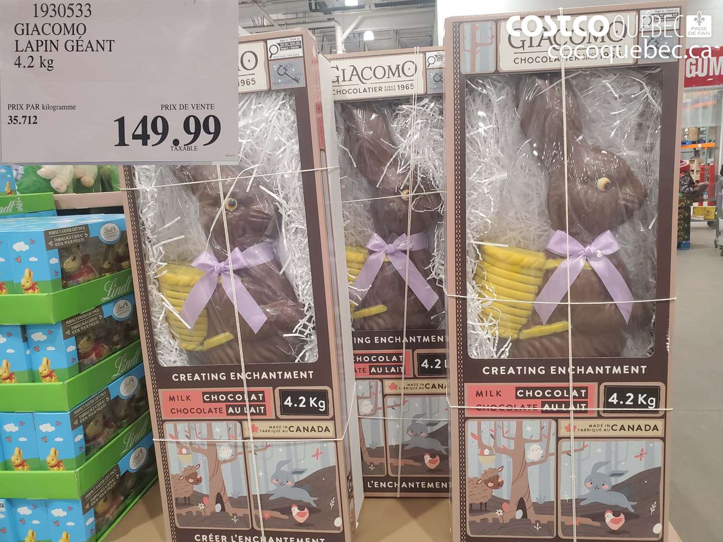 1930533 GIACOMO LAPIN GEANT 4.2 KG $149.99