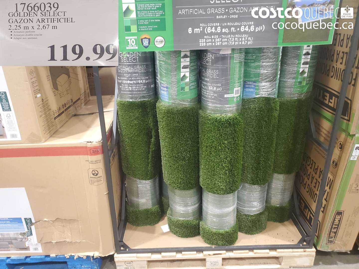 1766039 GOLDEN SELECT GAZON ARTIFICIEL 2,25 M X 2,67 M $119.99