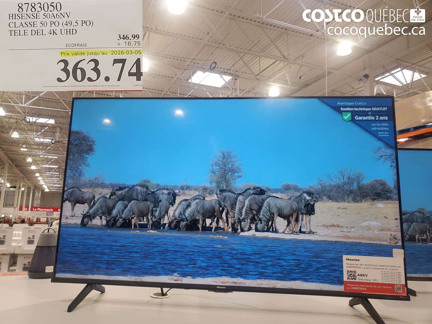 8783050 HISENSE 50A6NV CLASSE 50 PO (49,5 PO) TELE DEL 4K UHD (EXPIRES ON 2026-03-05) $363.74