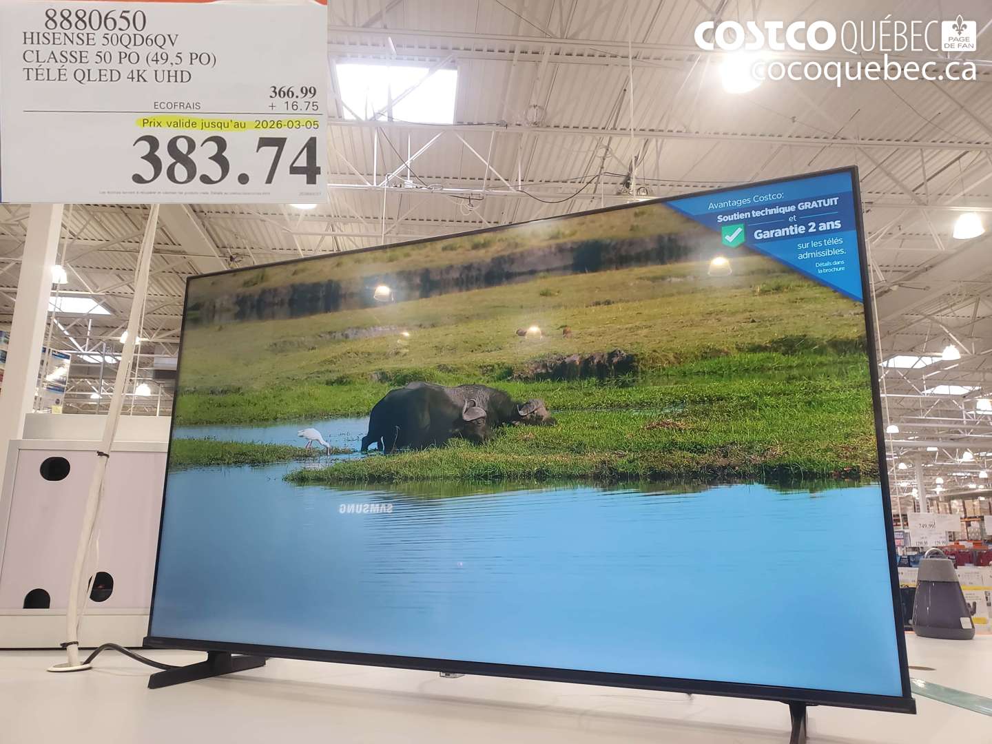 8880650 HISENSE 50QD6QV CLASSE 50 PO (49,5 PO) TÉLÉ QLED 4K UHD (EXPIRES ON 2026-03-05) $383.74