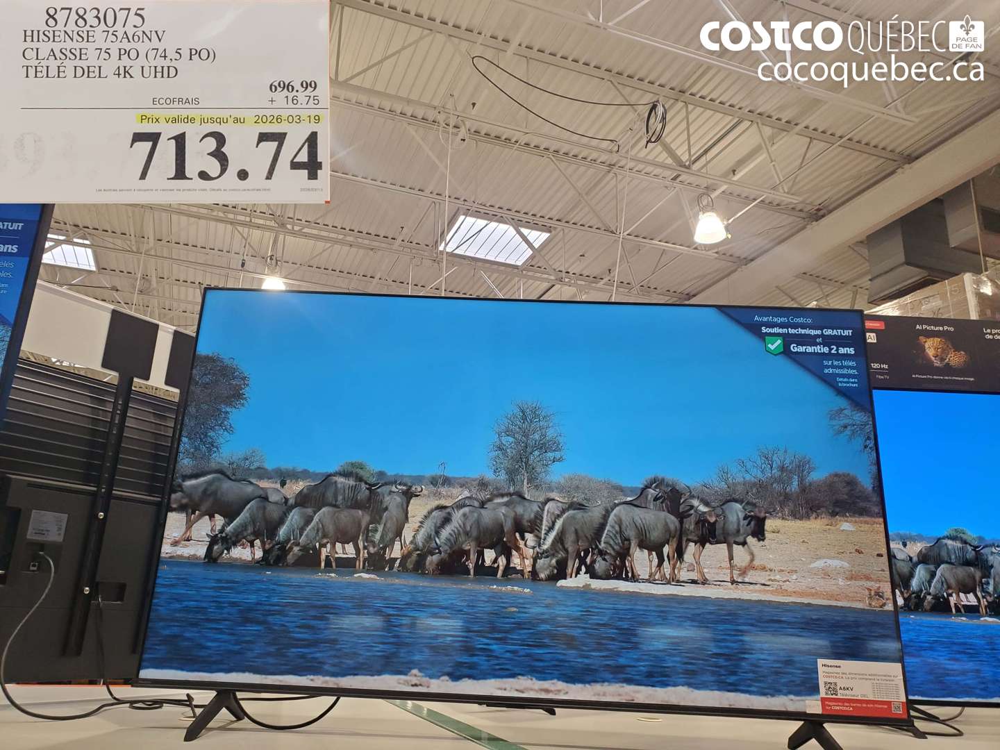 8783075 HISENSE 75A6NV CLASSE 75 PO (74,5 PO) TÉLÉ DEL 4K UHD (EXPIRES ON 2026-03-19) $713.74