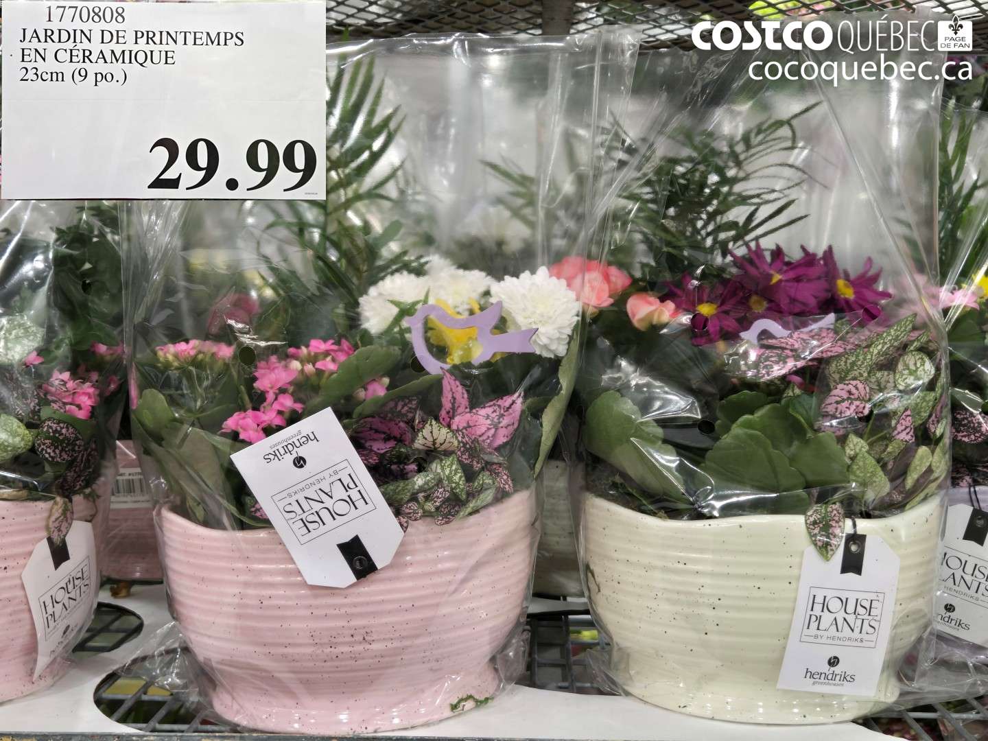 1770808 JARDIN DE PRINTEMPS EN CERAMIQUE 23CM (9 PO.) $29.99