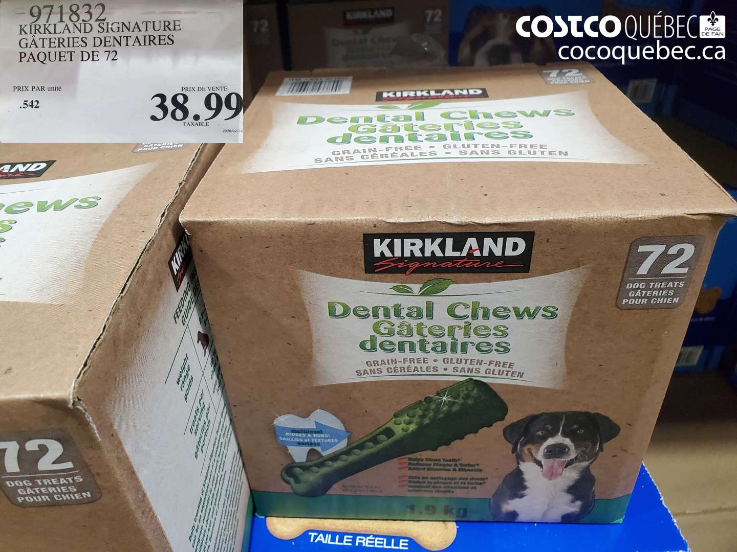 971832 KIRKLAND SIGNATURE GÂTERIES DENTAIRES PAQUET DE 72 $38.99