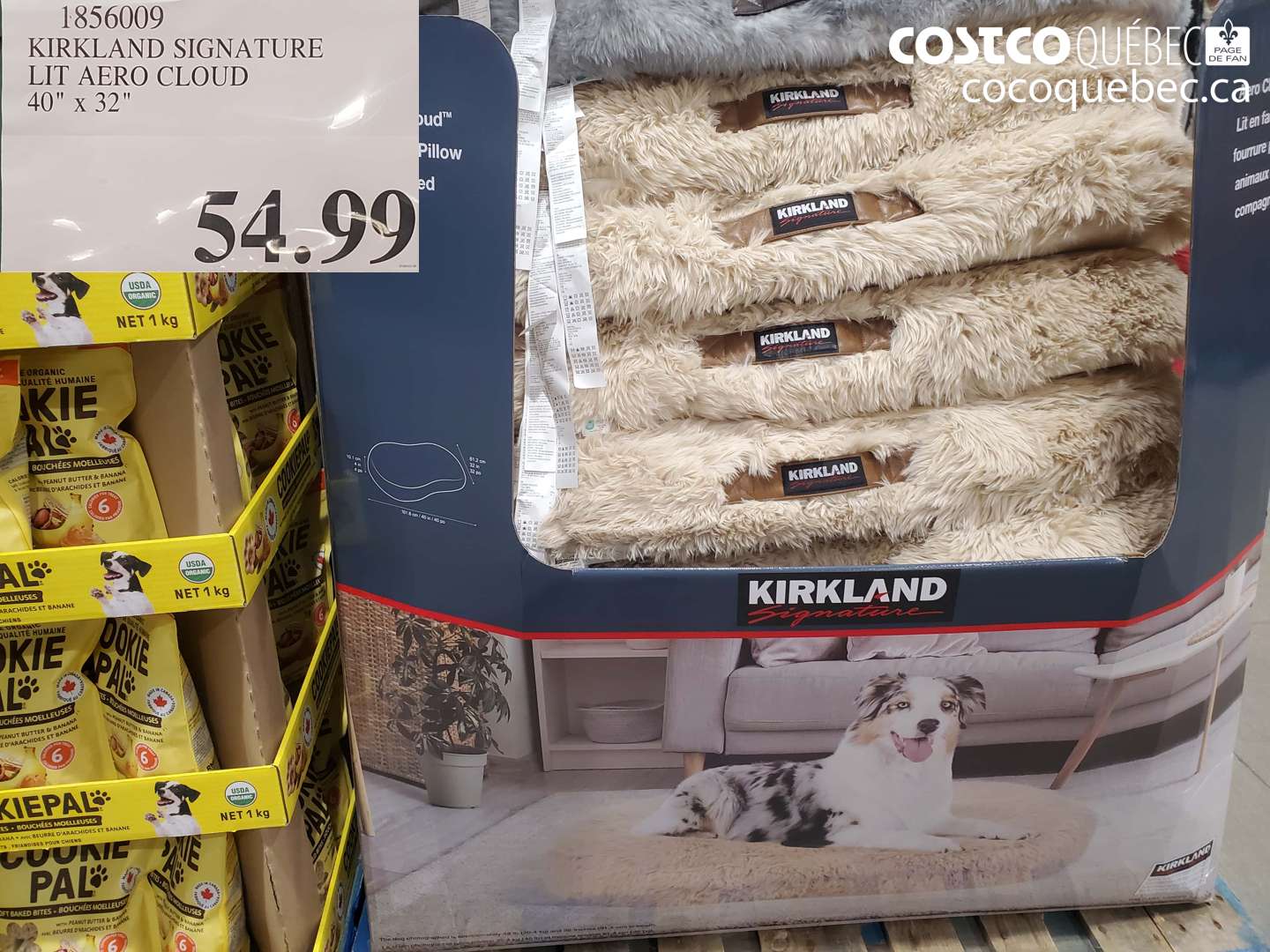 1856009 KIRKLAND SIGNATURE LIT AERO CLOUD 40