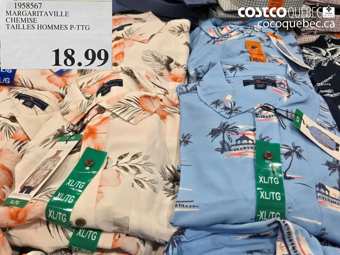 1958567 MARGARITAVILLE CHEMISE TAILLES HOMMES P-TTG $18.99