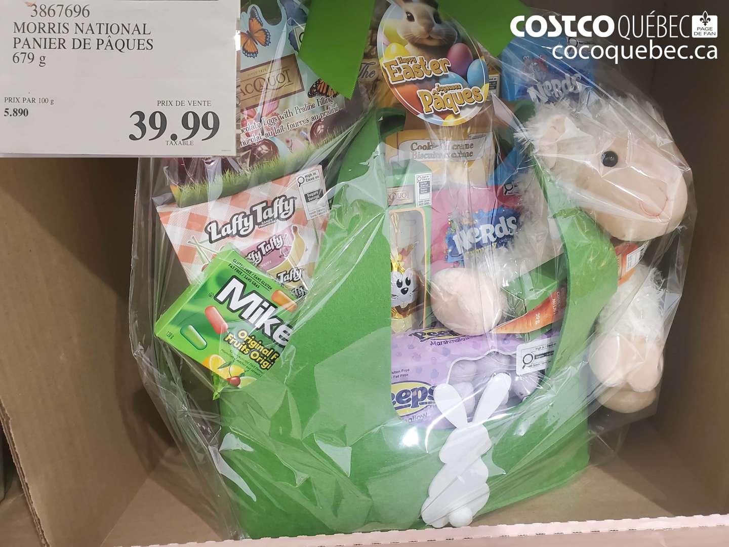 3867696 MORRIS NATIONAL PANIER DE PÂQUES $39.99