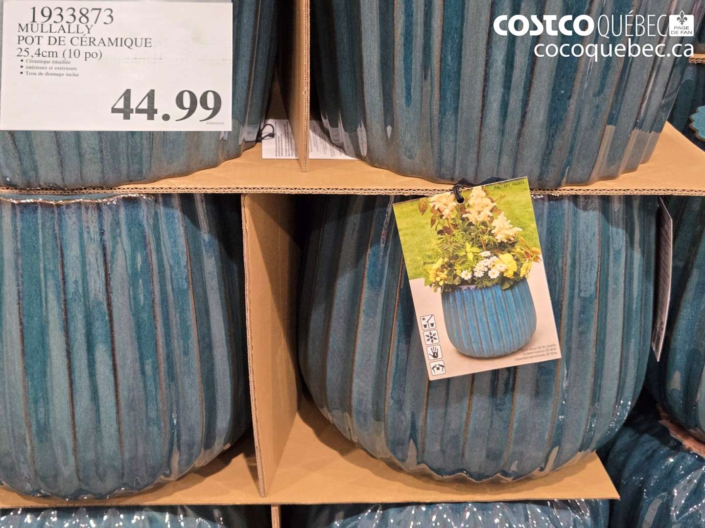 1933873 MULLALLY POT DE CERAMIQUE 25,4CM (10 PO) $44.99