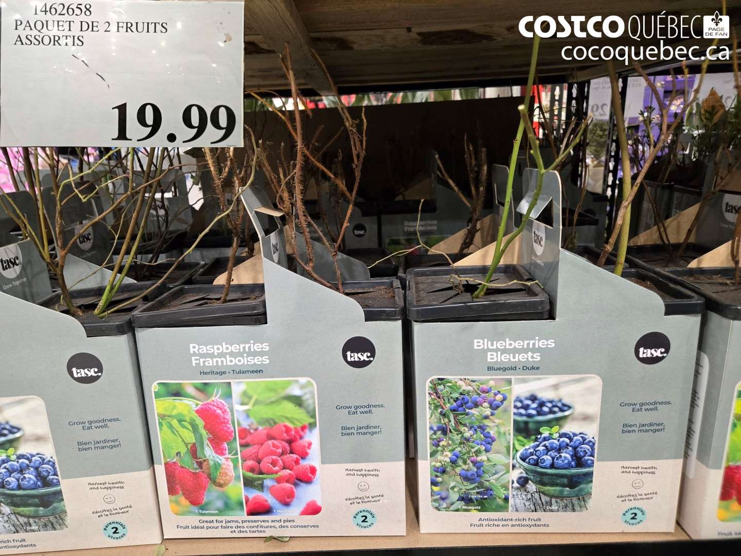 1462658 PAQUET DE 2 FRUITS ASSORTIS $19.99