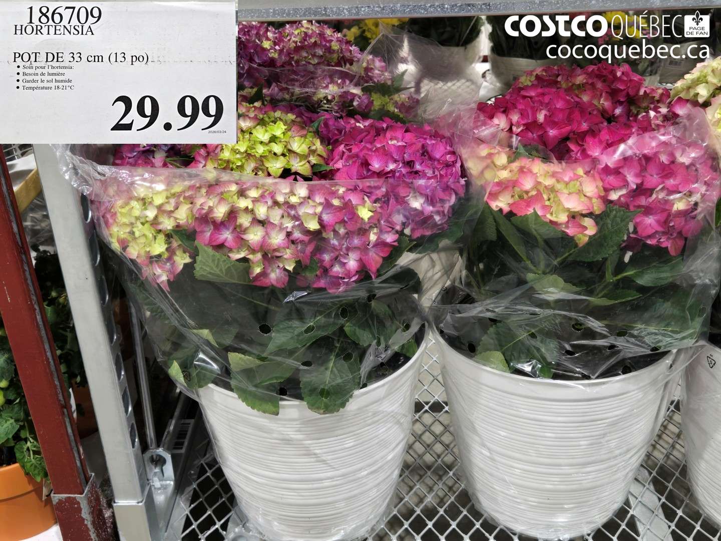 186709 POT DE 33 CM (13 PO) $29.99