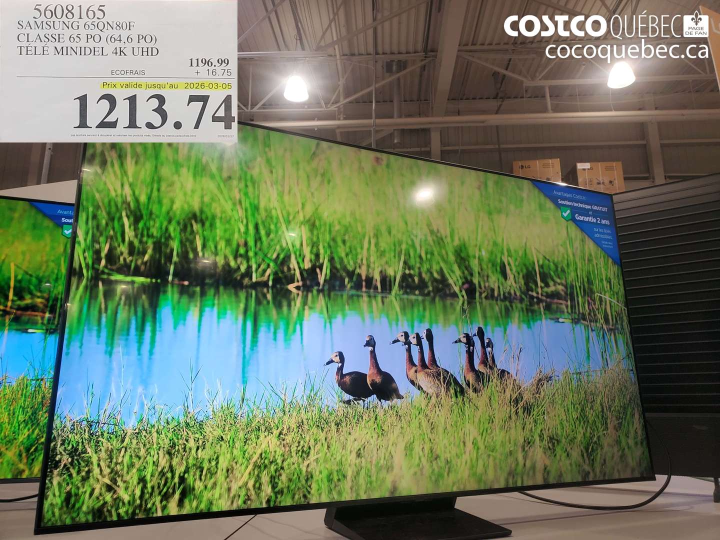 5608165 SAMSUNG 65QN80F CLASSE 65 PO (64,6 PO) TÉLÉ MINIDEL 4K UHD (EXPIRES ON 2026-03-05) $1213.74