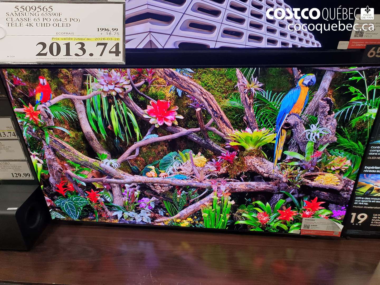 5509565 SAMSUNG 65S90F CLASSE 65 PO (64,5 PO) TELE 4K UHD OLED (EXPIRES ON 2026-03-26) $2013.74