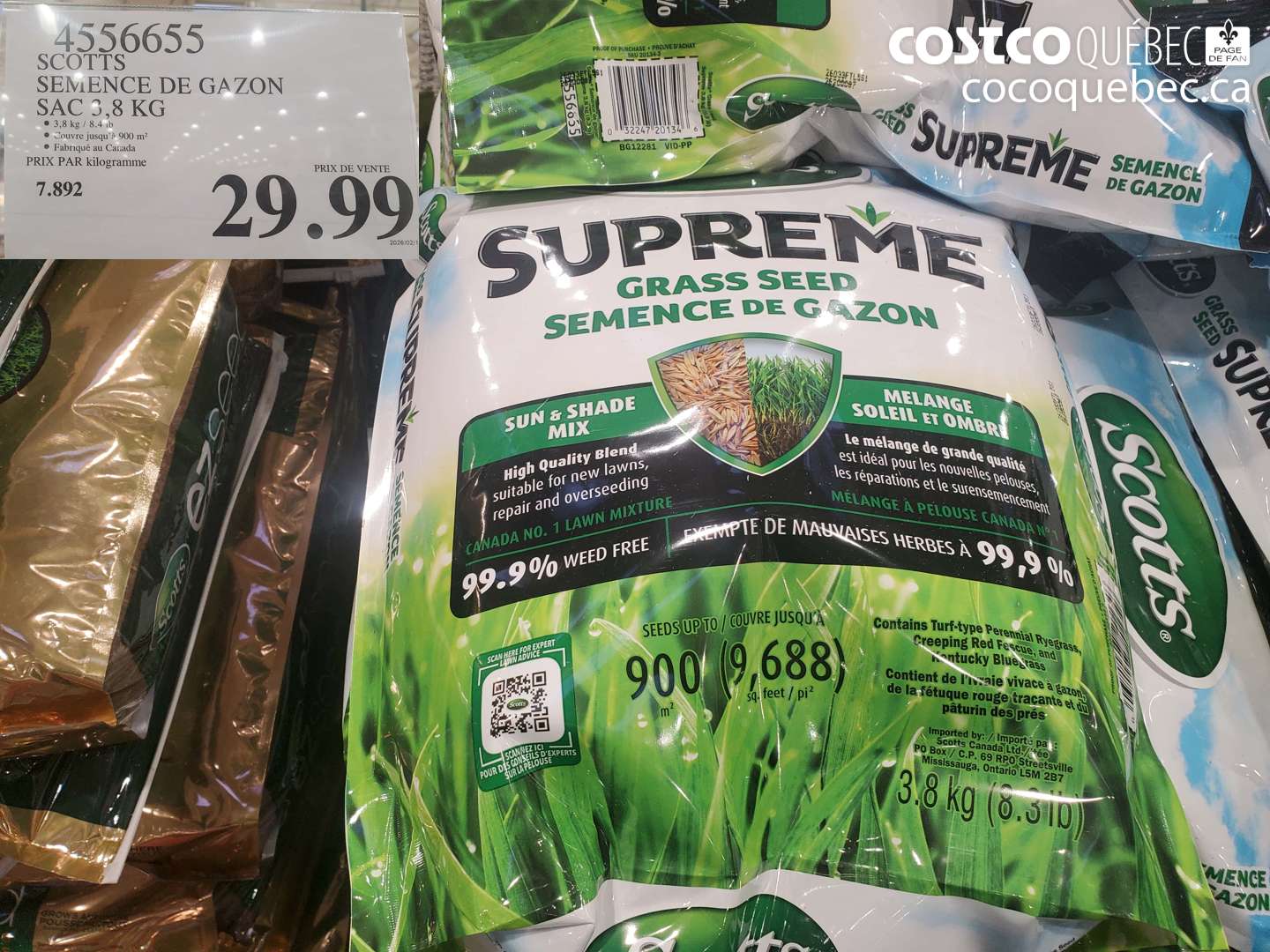 4556655 SCOTTS SEMENCE DE GAZON SAC 3,8 KG $29.99