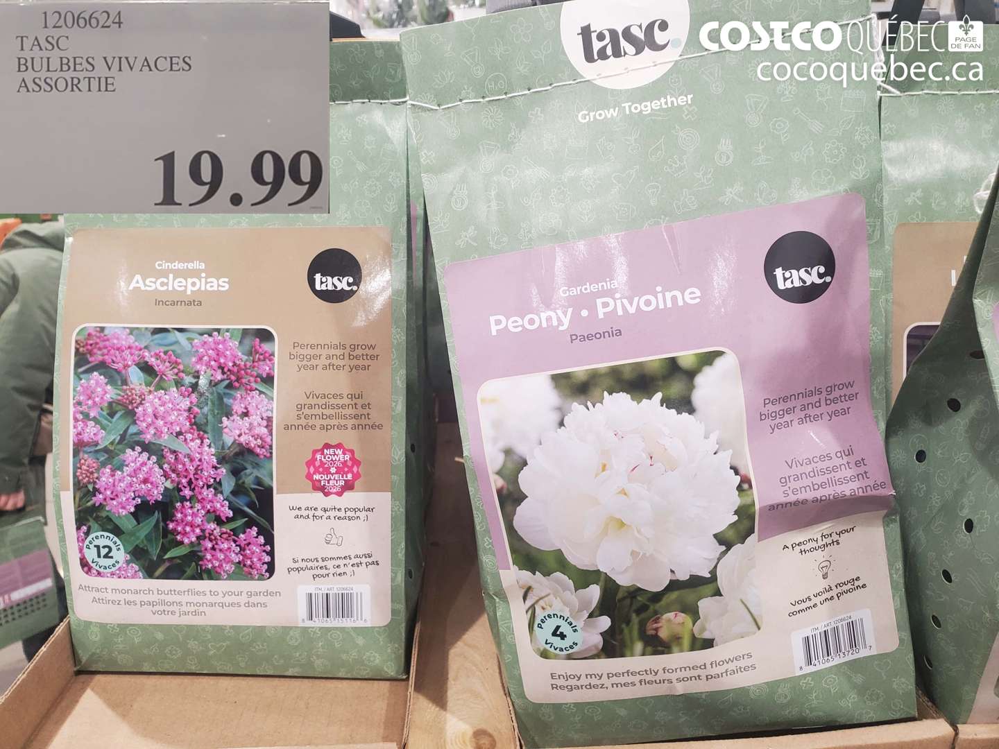 1206624 TASC BULBES VIVACES ASSORTIE $19.99