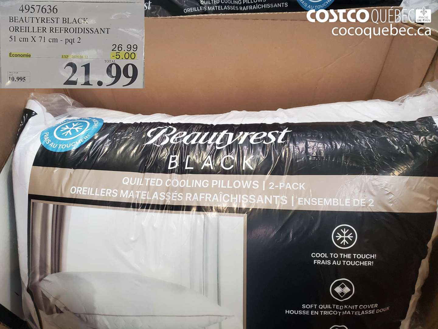 4957636 BEAUTYREST BLACK OREILLER REFROIDISSANT 51 CM X 71 CM - PQT 2 ($5.00 INSTANT SAVINGS EXPIRES ON 2026-04-12) $21.99