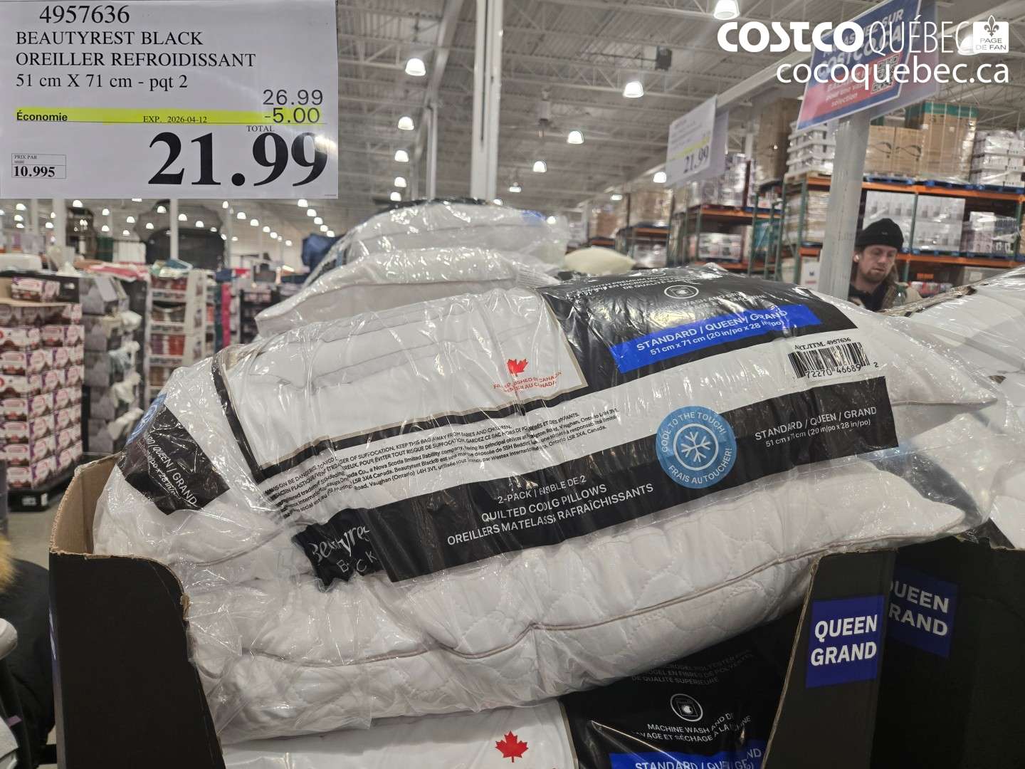 4957636 BEAUTYREST BLACK OREILLER REFROIDISSANT 51 CM X 71 CM - PQT 2 ($5.00 INSTANT SAVINGS EXPIRES ON 2026-04-12) $21.99