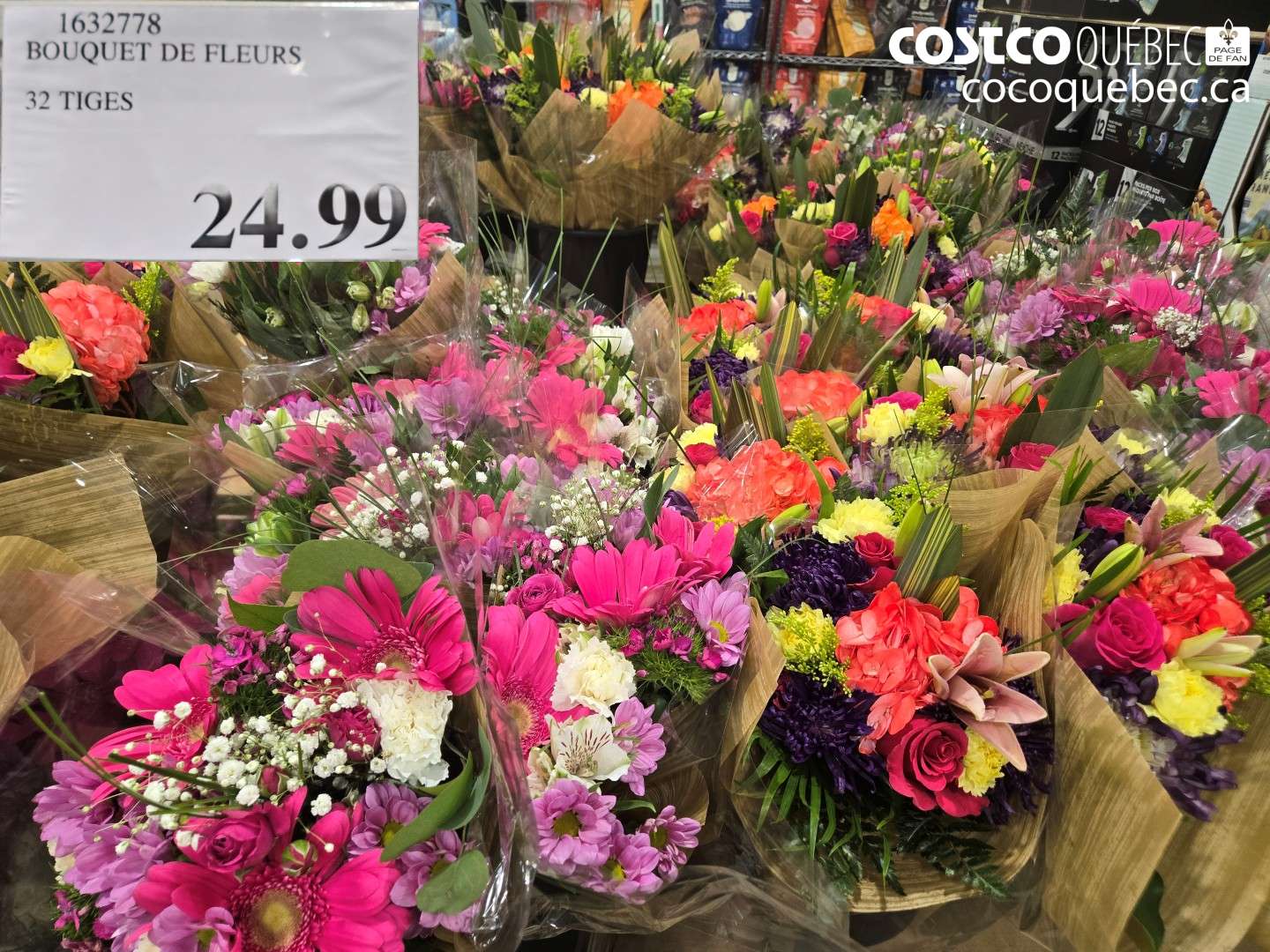 1632778 BOUQUET DE FLEURS 32 TIGES $24.99