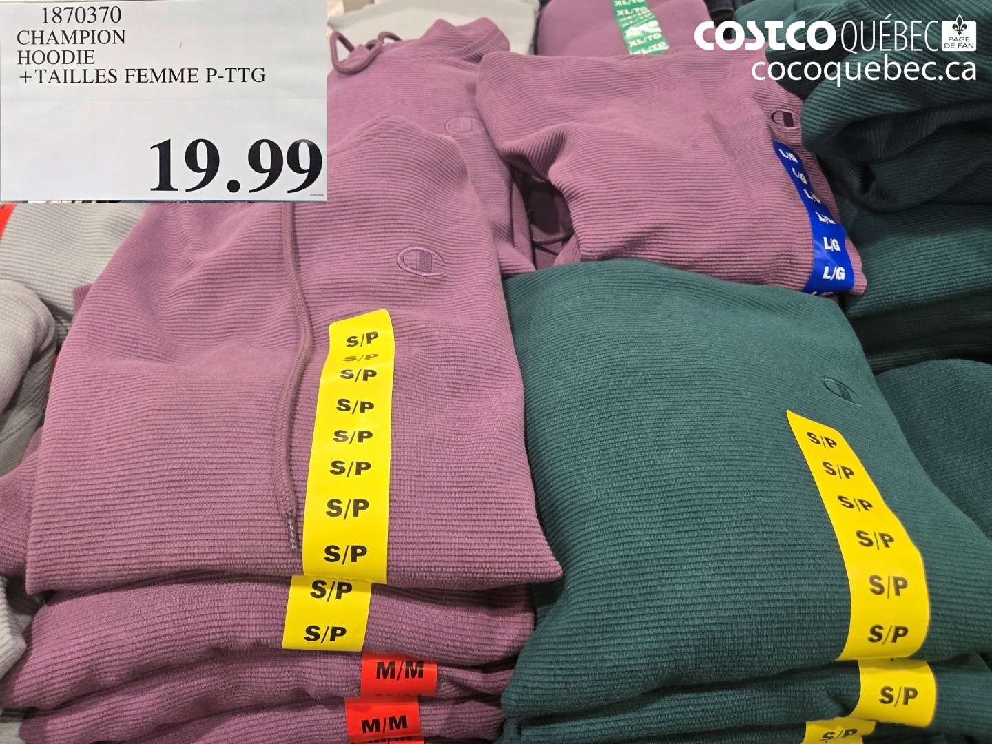 1870370 CHAMPION HOODIE + TAILLES FEMME P-TTG $19.99