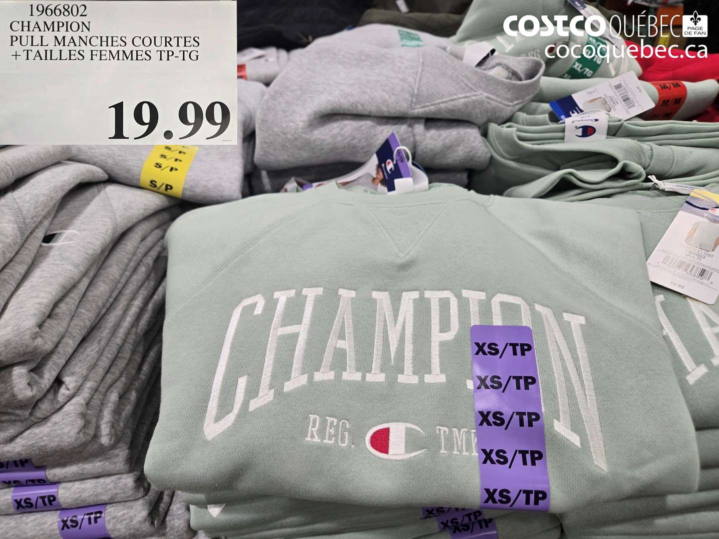 1966802 CHAMPION PULL MANCHES COURTES + TAILLES FEMMES TP-TG $19.99