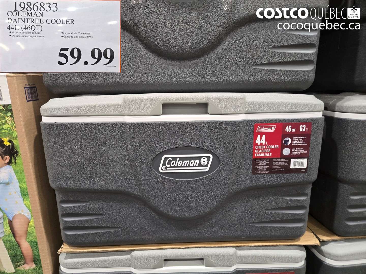 1986833 COLEMAN DAINTREE COOLER 44L (46QT) $59.99