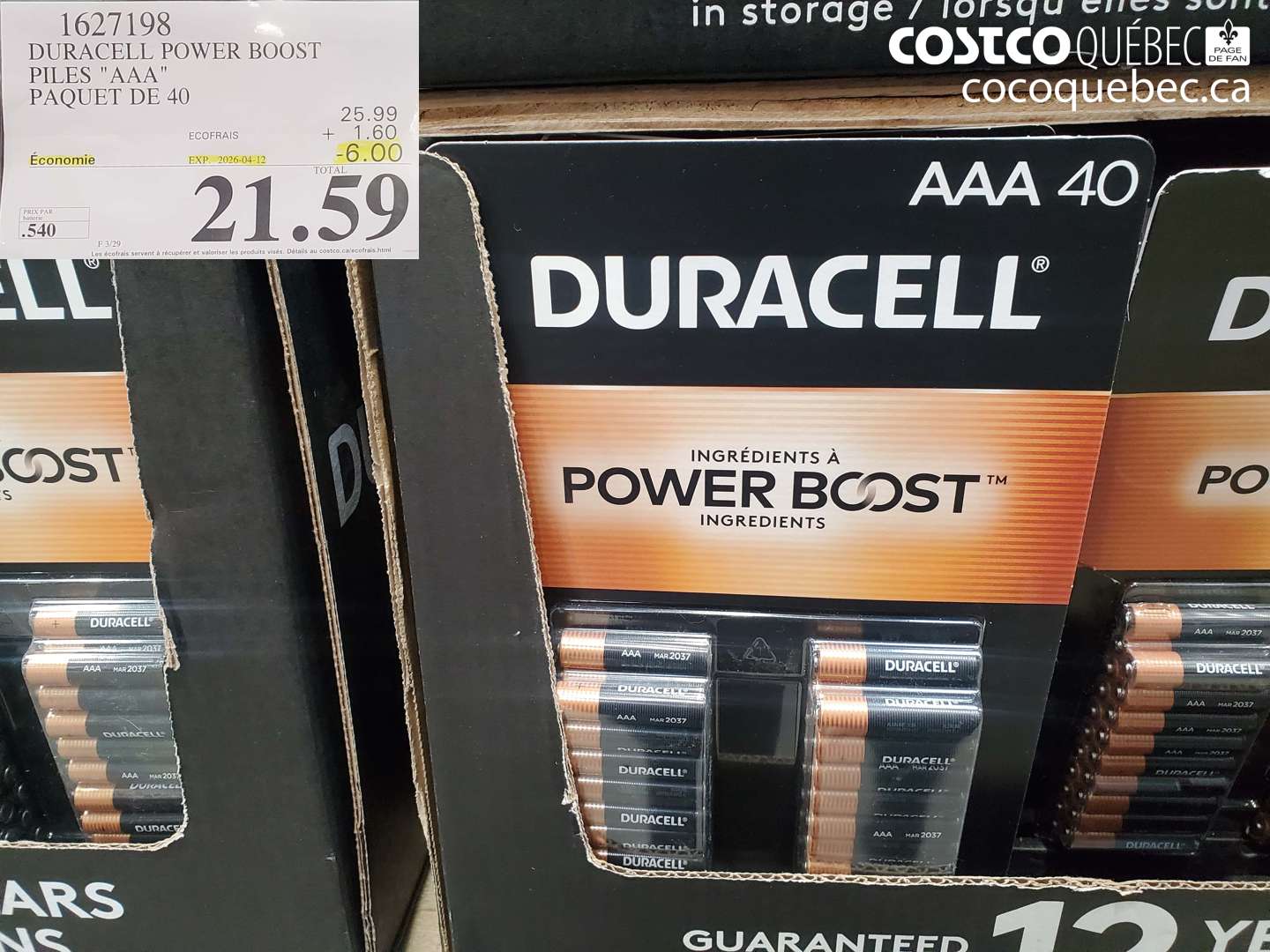 1627198 DURACELL POWER BOOST PILES 