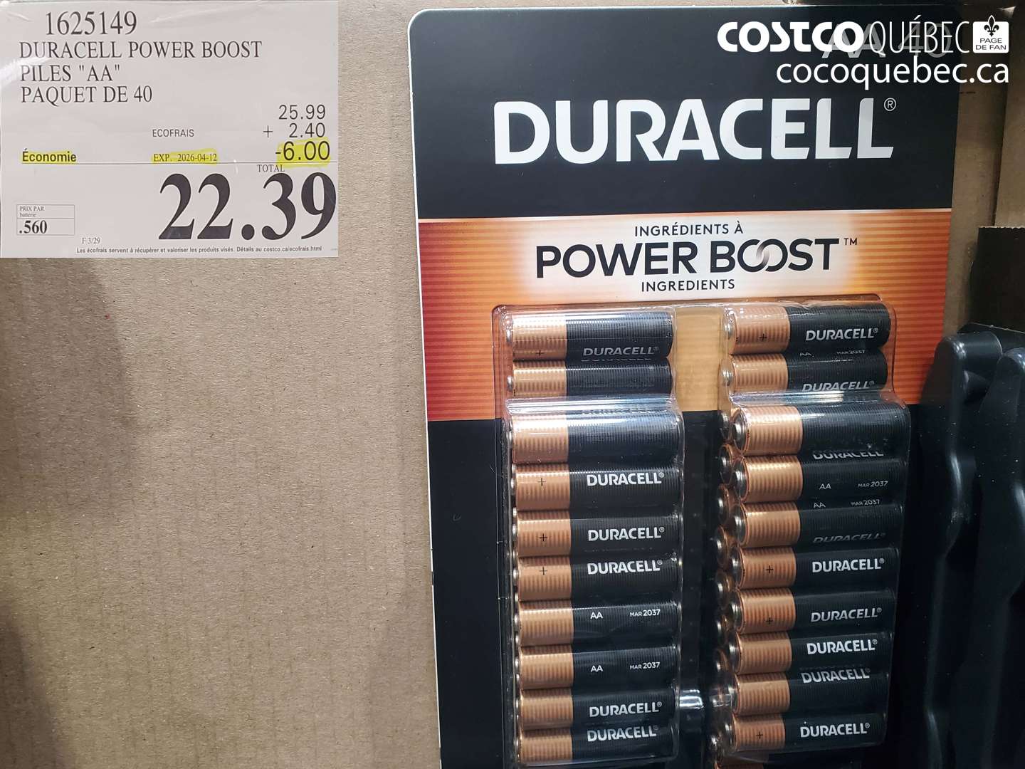 1625149 DURACELL POWER BOOST PILES 