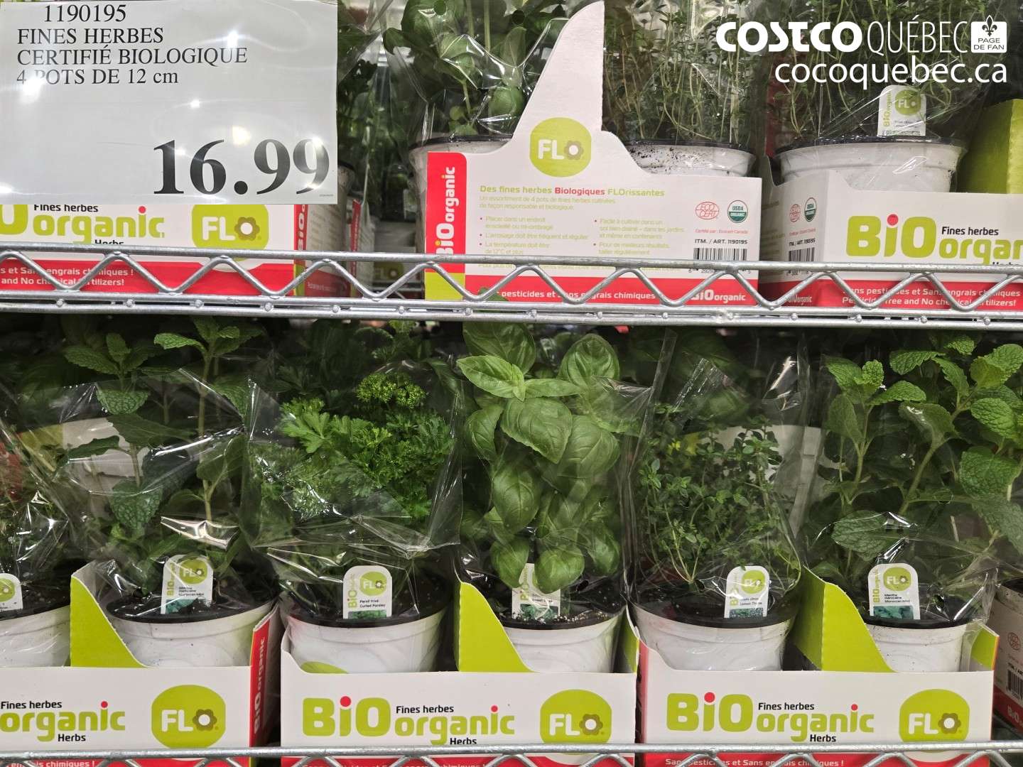 1190195 FINES HERBES CERTIFIÉ BIOLOGIQUE 4 POTS DE 12 CM $16.99