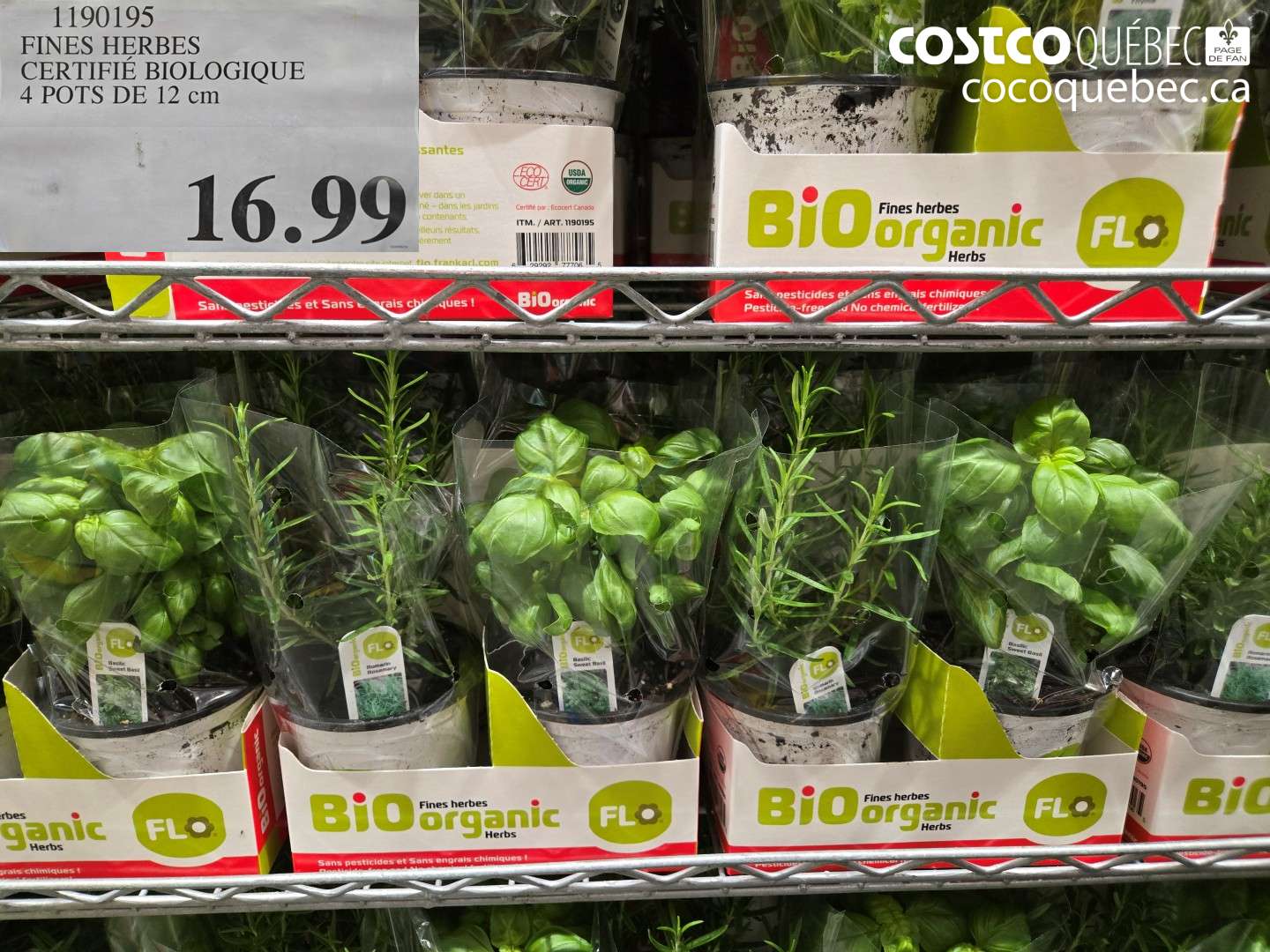 1190195 FINES HERBES CERTIFIÉ BIOLOGIQUE 4 POTS DE 12 CM $16.99
