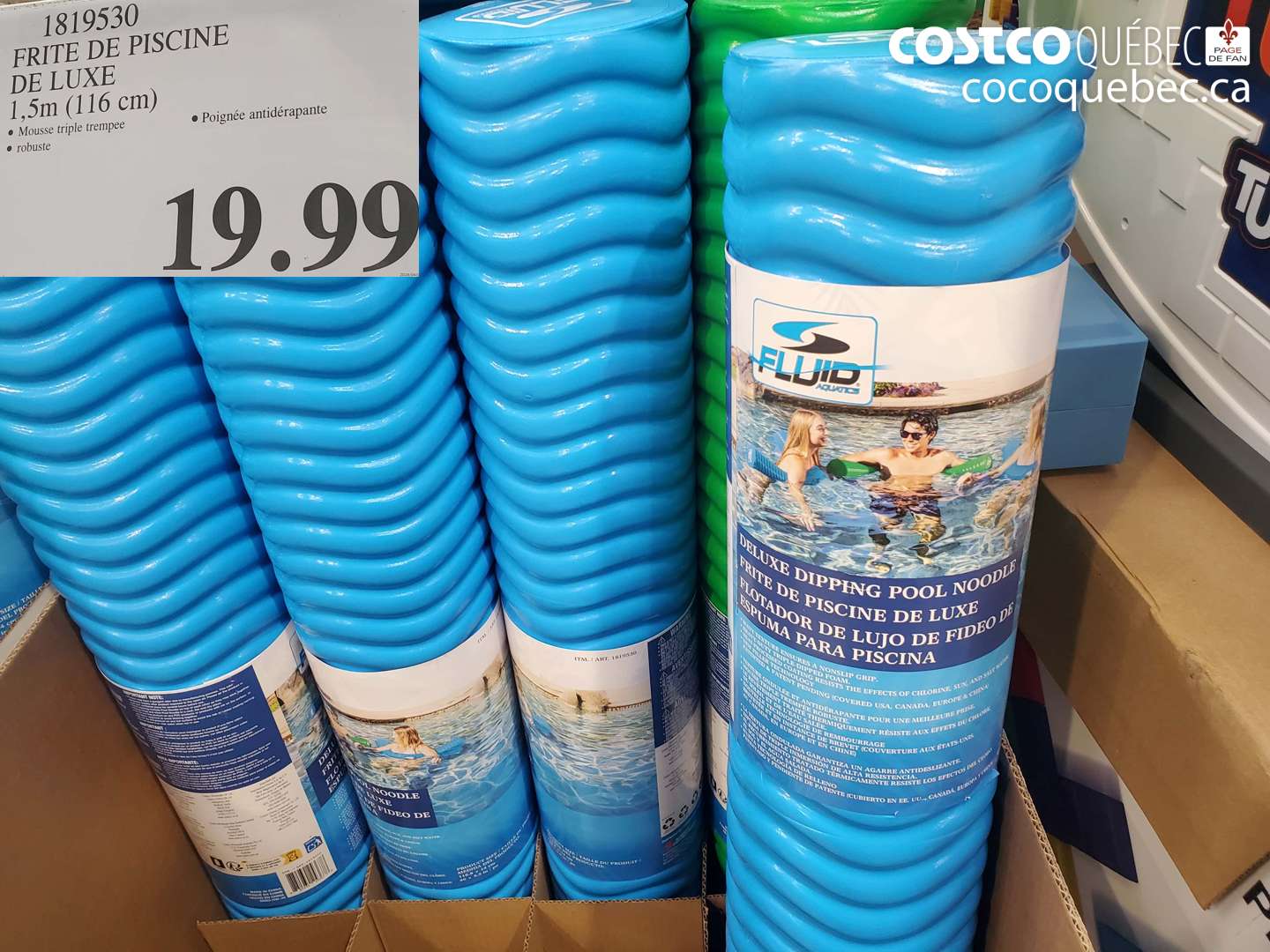 1819530 FRITE DE PISCINE DE LUXE 1,5m (116 cm) $19.99