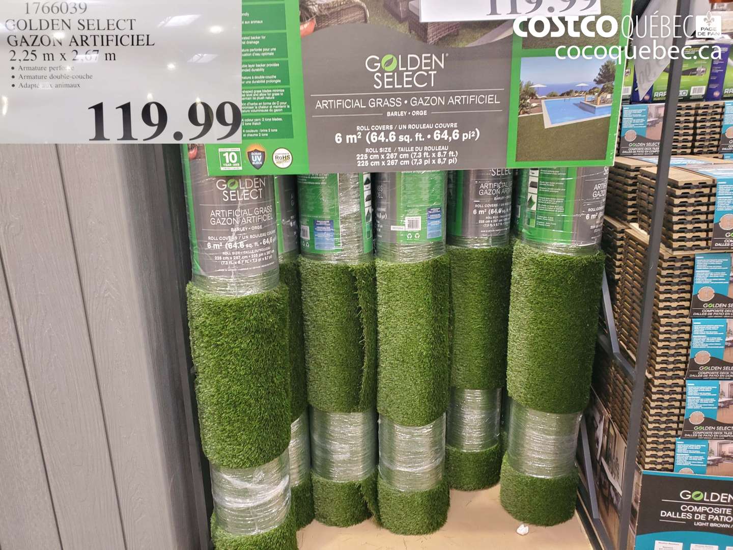1766039 GOLDEN SELECT GAZON ARTIFICIEL 2,25 M X 2,67 M $119.99