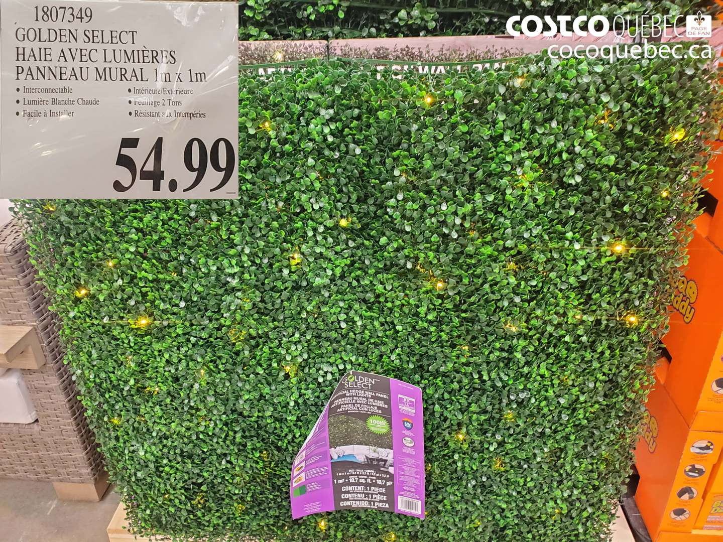 1807349 GOLDEN SELECT HAIE AVEC LUMIÈRES PANNEAU MURAL 1M X 1M $54.99