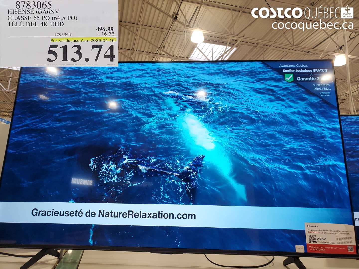 8783065 HISENSE 65A6NV CLASSÉ 65 PO (64,5 PO) TÉLÉ DEL 4K UHD (EXPIRES ON 2026-04-16) $513.74