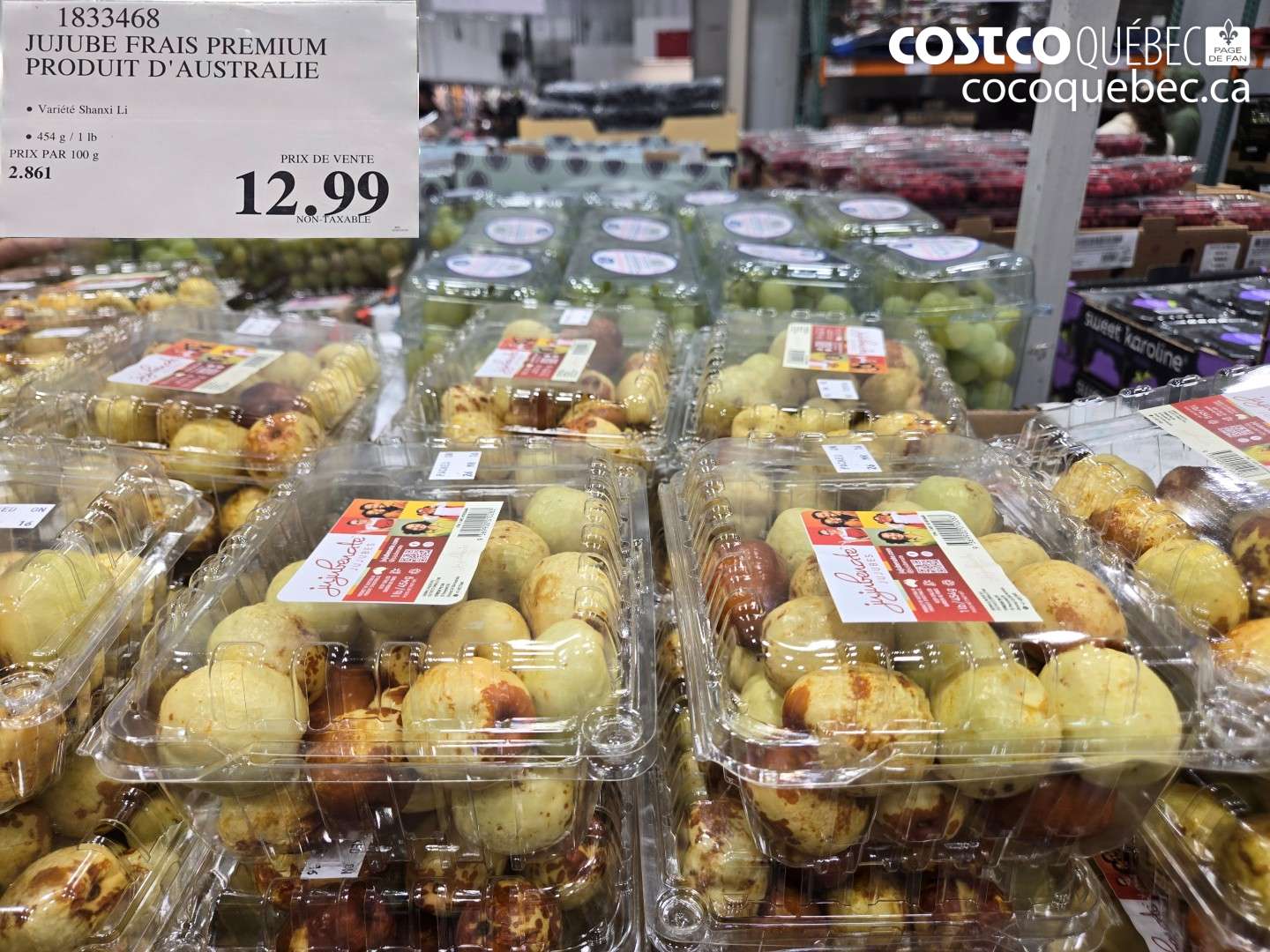 1833468 JUJUBE FRAIS PREMIUM PRODUIT D'AUSTRALIE $12.99