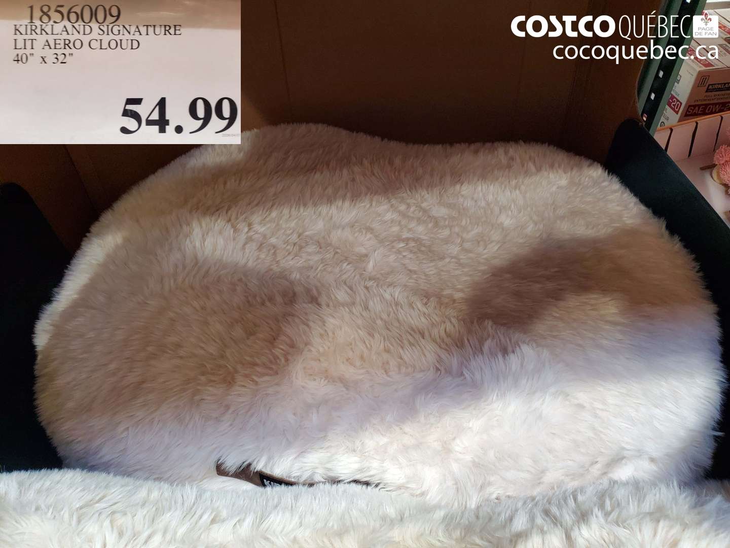 1856009 KIRKLAND SIGNATURE LIT AERO CLOUD 40