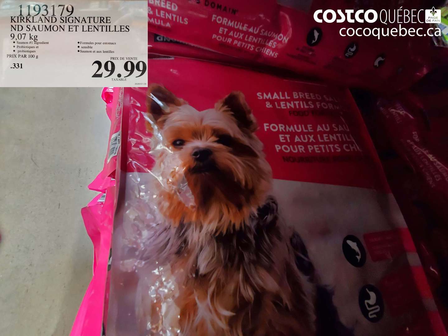 1193179 KIRKLAND SIGNATURE SAUMON ET LENTILLES 9.07 KG $29.99
