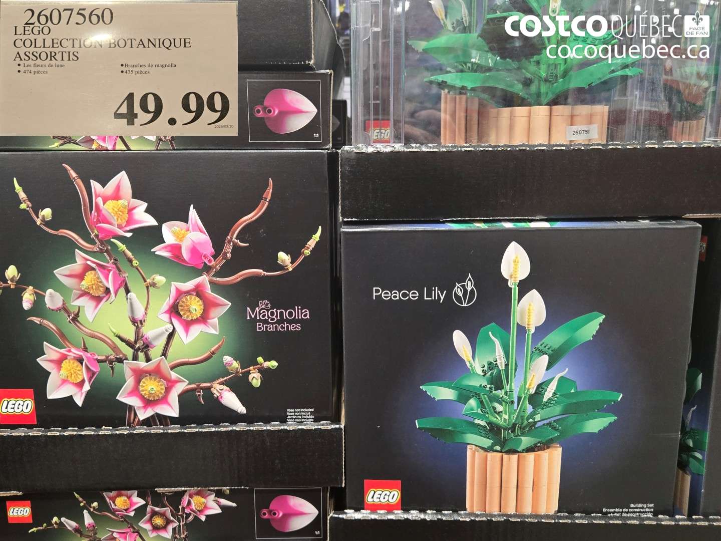 2607560 LEGO COLLECTION BOTANIQUE ASSORTIS $49.99