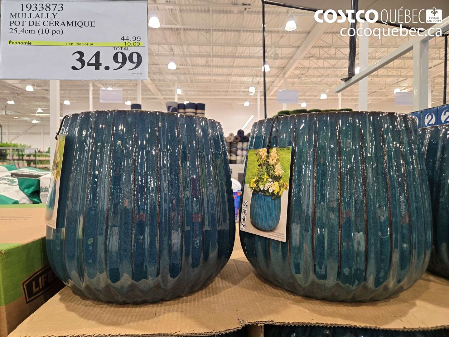 1933873 MULLALLY POT DE CÉRAMIQUE 25,4CM (10 PO) ($10.00 INSTANT SAVINGS EXPIRES ON 2026-04-19) $34.99