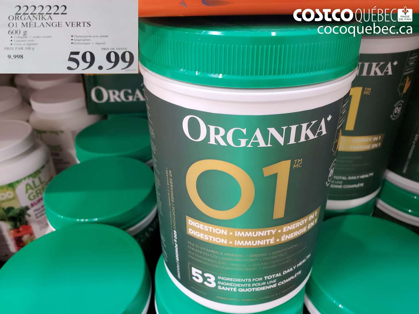 2222222 ORGANIKA 01 MELANGE VERTS 600 G $59.99