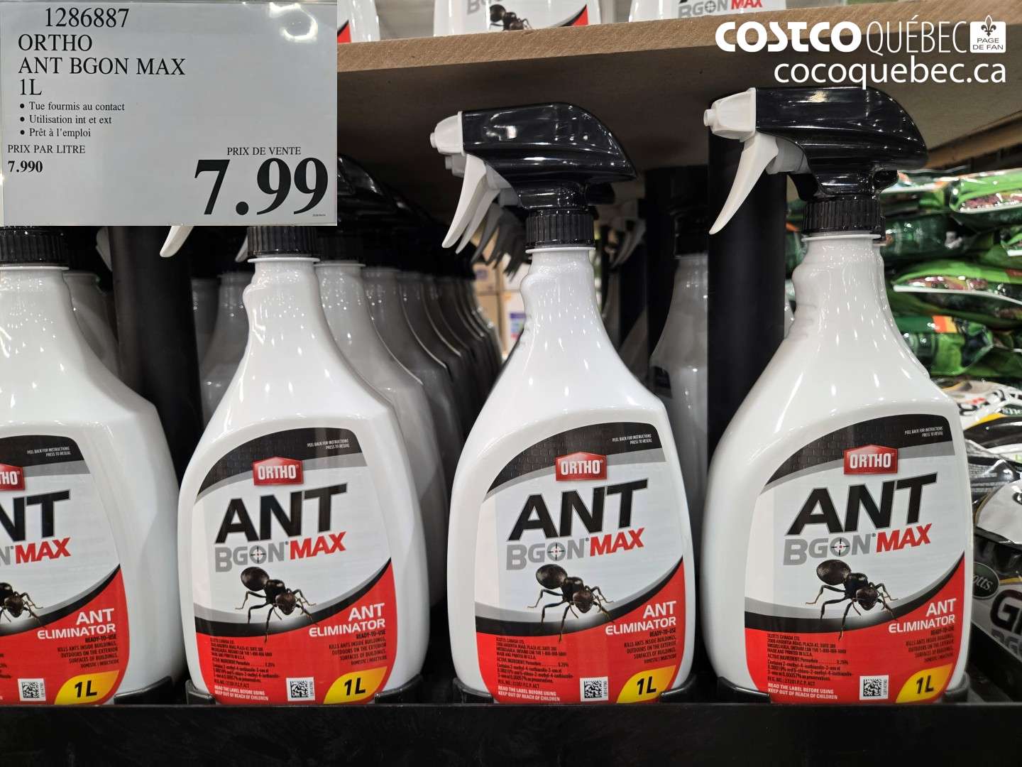 1286887 ORTHO ANT BGON MAX 1L $7.99