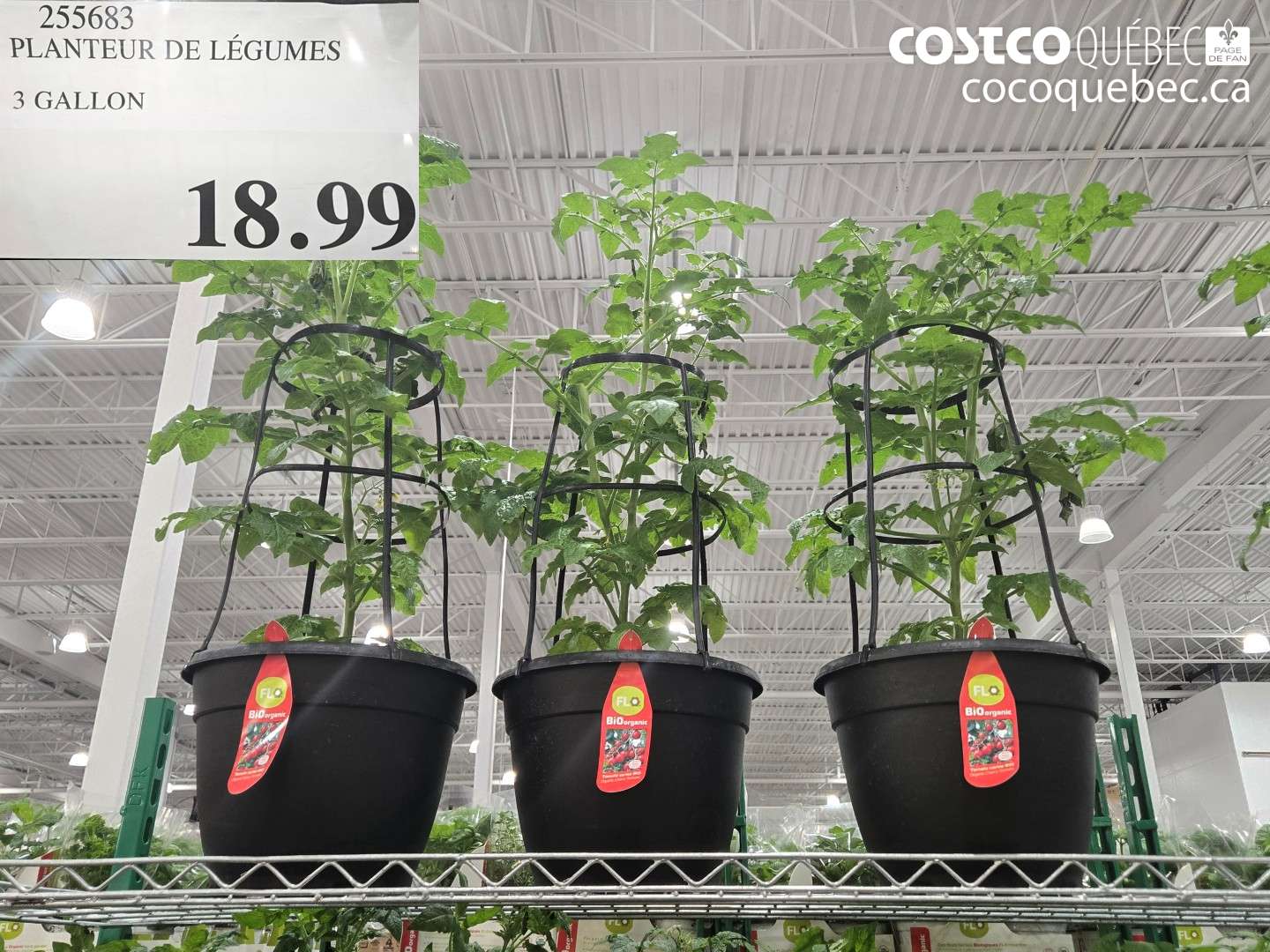 255683 PLANTEUR DE LÉGUMES $18.99