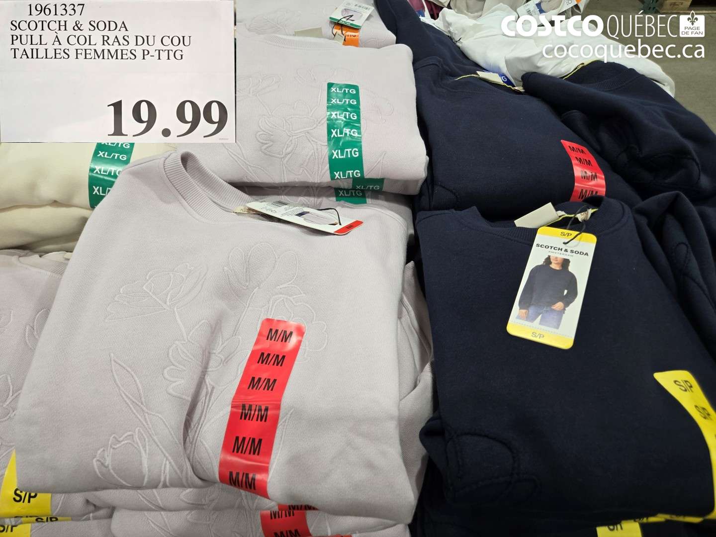 1961337 SCOTCH & SODA PULL À COL RAS DU COU TAILLES FEMMES P-TTG $19.99