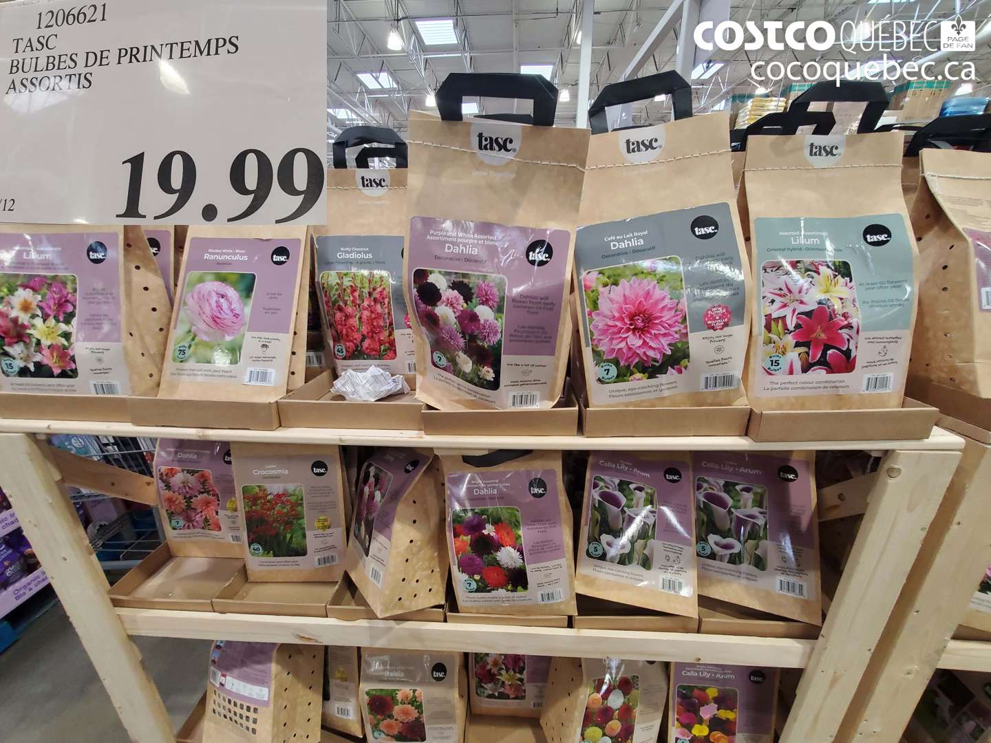 1206621 TASC BULBES DE PRINTEMPS ASSORTIS $19.99