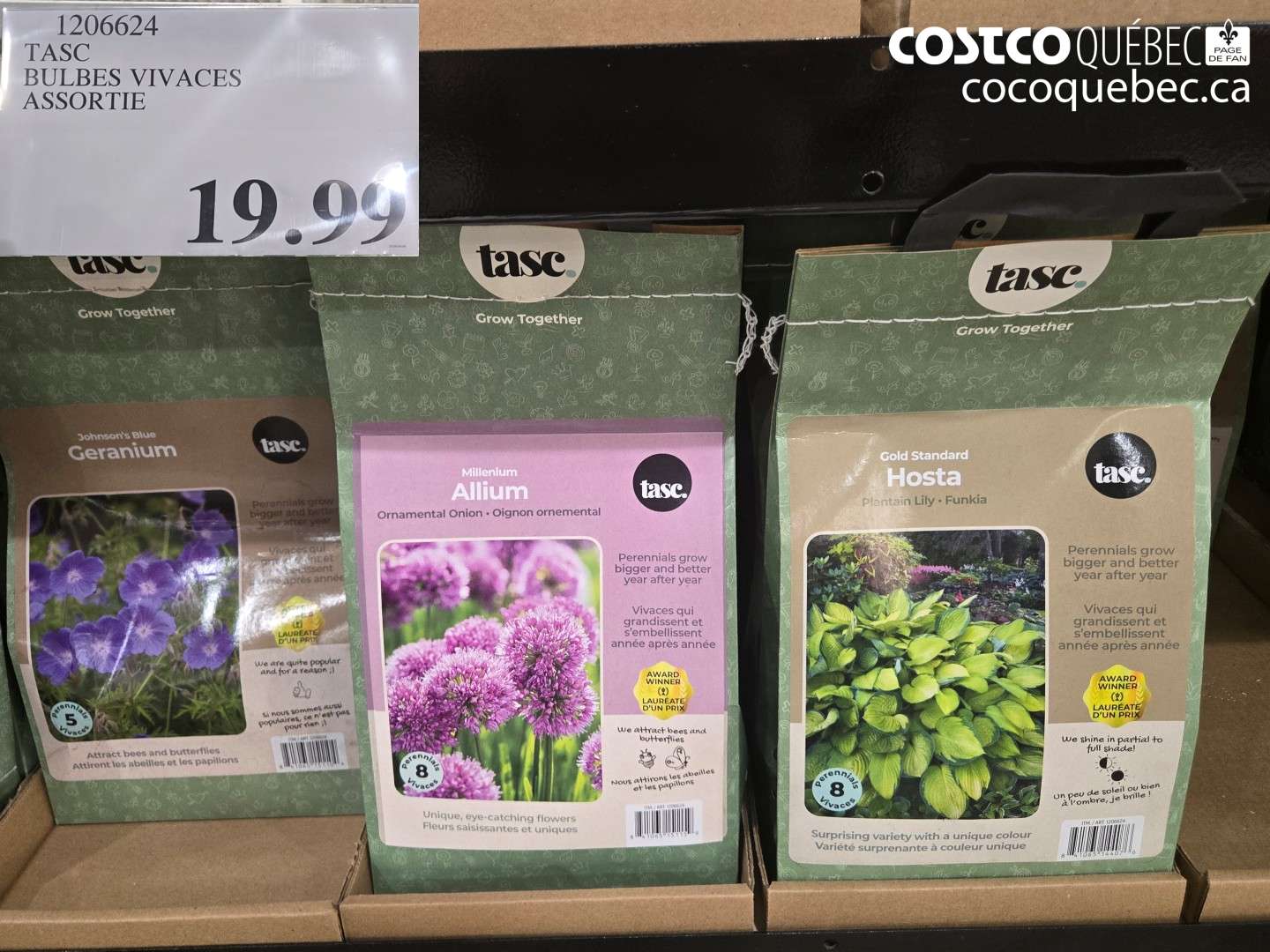 1206624 TASC BULBES VIVACES ASSORTIE $19.99