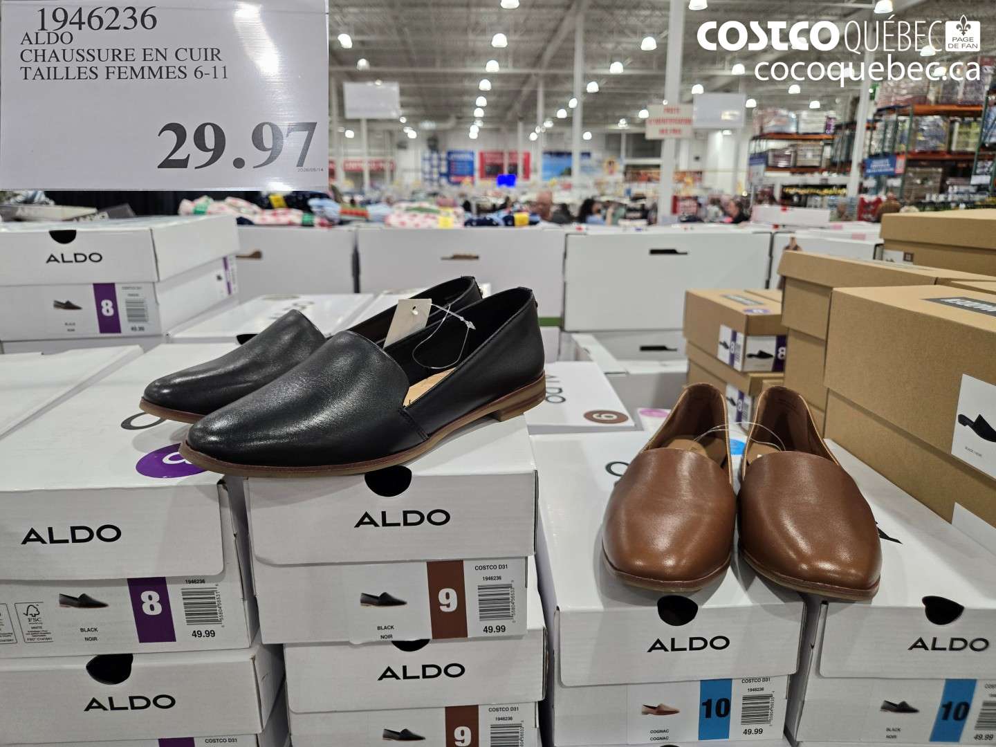 1946236 ALDO CHAUSSURE EN CUIR TAILLES FEMMES 6-11 OFF $49.99