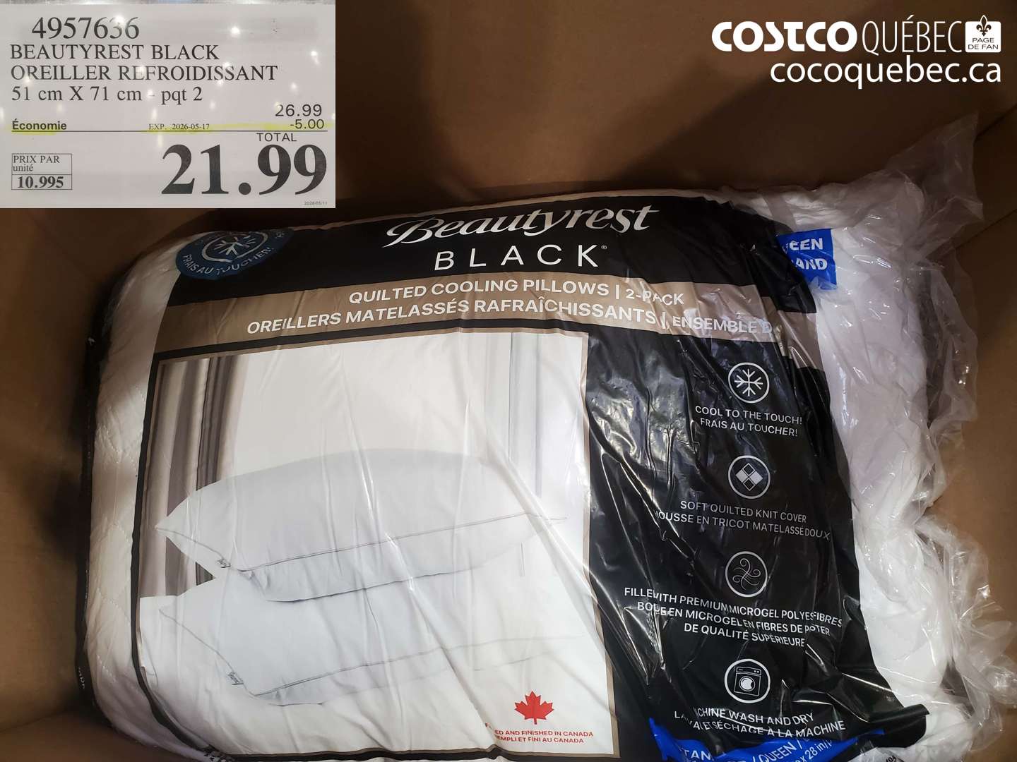 4957636 BEAUTYREST BLACK OREILLER REFROIDISSANT 51 CM X 71 CM - PQT 2 ($5.00 INSTANT SAVINGS EXPIRES ON 2026-05-17) $21.99