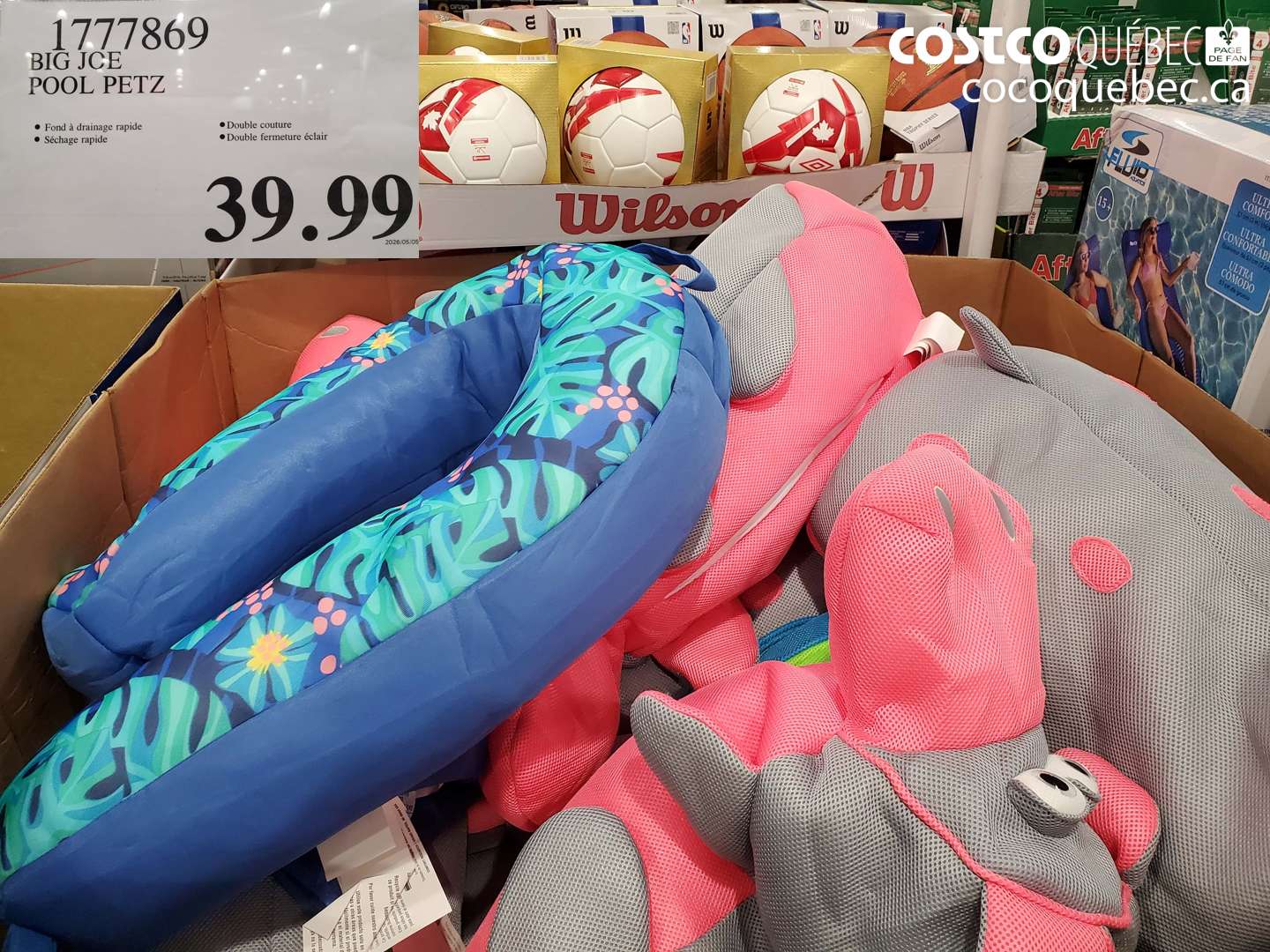 1777869 BIG JOE POOL PETZ $39.99