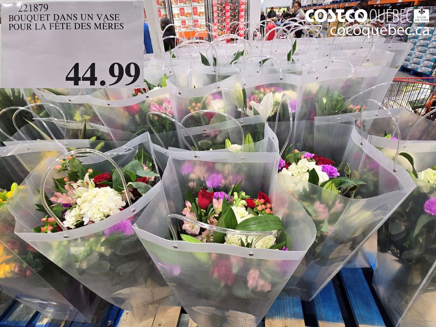 221879 BOUQUET DANS UN VASE POUR LA FÊTE DES MÈRES $44.99