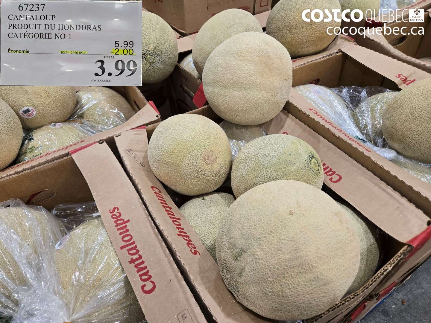 67237 CANTALOUP ($2.00 INSTANT SAVINGS EXPIRES ON 2026-05-10) $3.99