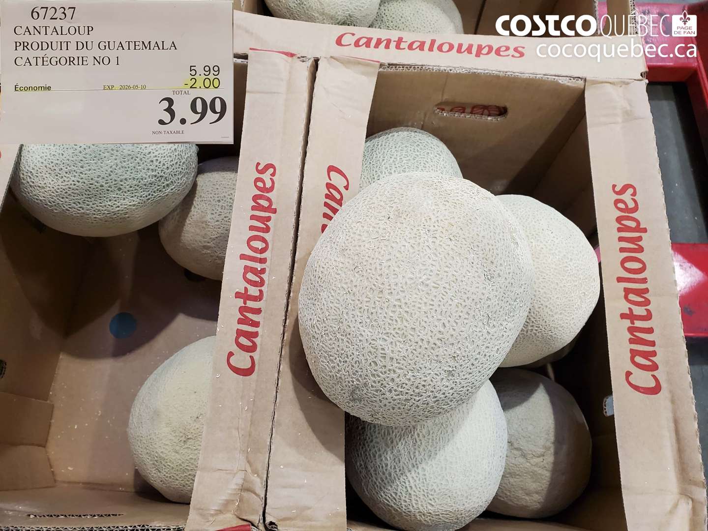67237 CANTALOUP PRODUIT DU GUATELMALA CATEGORIE NO 1 ($2.00 INSTANT SAVINGS EXPIRES ON 2026-05-10) $3.99