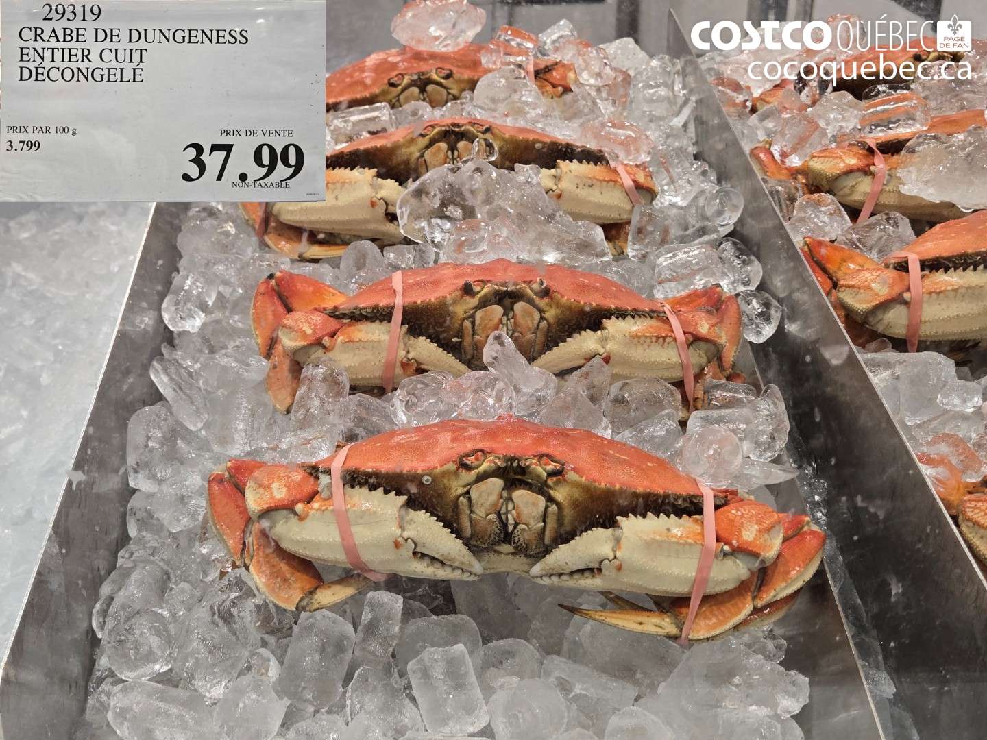 29319 CRABE DE DUNGENESS ENTIER CUIT DÉCONGELÉ $37.99